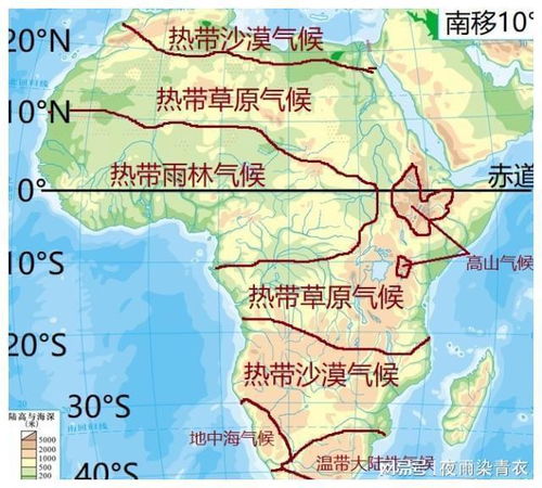 胡椒在哪些具有热带雨林气候、土壤肥沃、年降水量丰富的地区种植效果最佳