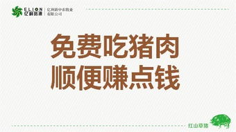 家的味道， 中农小懒猪