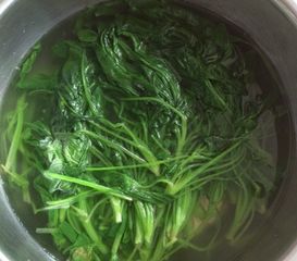 14. 菠菜和菜是那样的娇艳， 嫩绿的衣裳惹得周围的蔬菜dou争着往这边挤