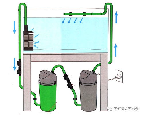 水草通过光合作用产生氧气，可部分替代氧气泵