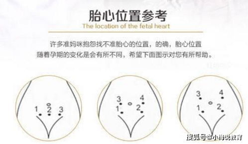 孕猪用药慎选，避免激素与抗生素