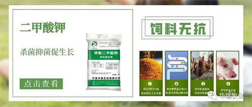 喹乙醇饲料中喹乙醇的使用对养殖动物的生长性能和食品安全有哪些潜在影响？
