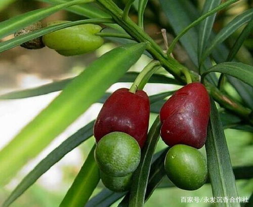 防范中毒的措施