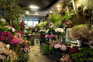 价格之谜：花艺师培训班多少钱