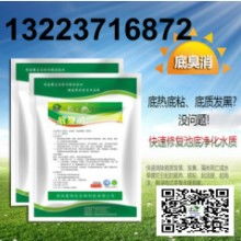 蛙的饵料种类丰富多样，蛙饲料与鱼饲料有何本质区别？