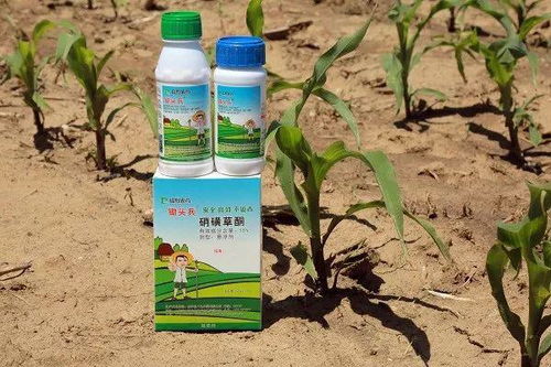 乡村记忆：寻找那份熟悉的乡愁