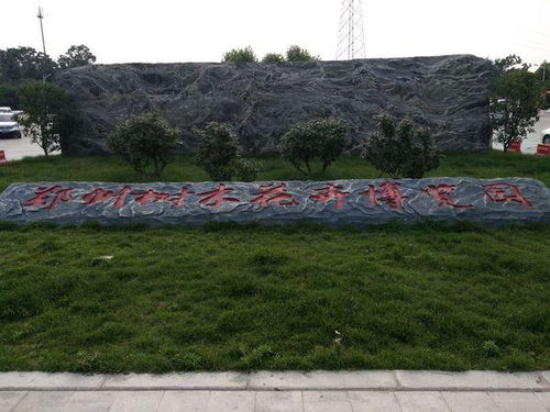 郑州树木花卉博览园：绿意盎然的秘密花园