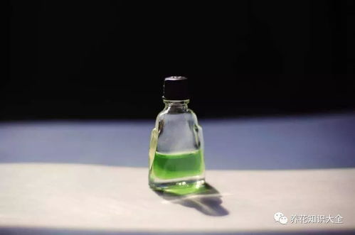 风油精兑水， 驱虫又提神