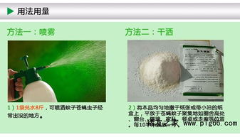 使用杀虫剂点火灭蚊子，哪种方式能确保最有效的杀虫效果？