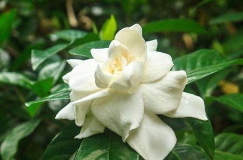 阳台改过经验：遇到这些状况别慌