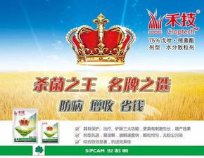 环磺酮除草剂说明书上提到的药害图片，能否详细解释环磺酮除草剂对作物可能造成的具体药害症状？
