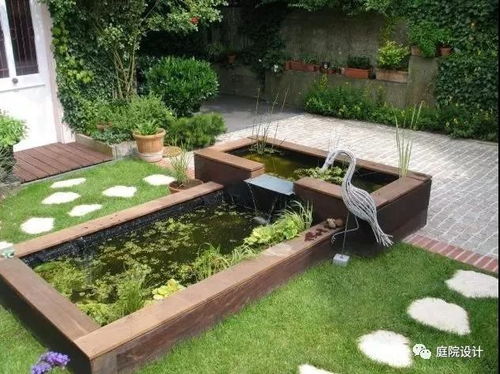 设计效果图， 展现水池之美