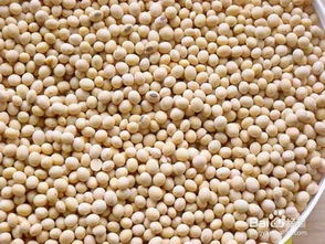 大豆种植中的农药使用现状