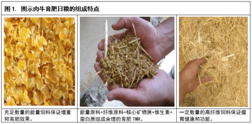 饲料原料根据营养成分和加工方式分哪几种？