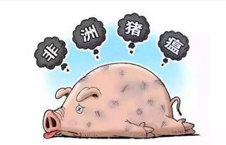 非洲猪瘟防控，生物安全不容忽视