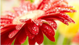 温控管理，细节决定成败