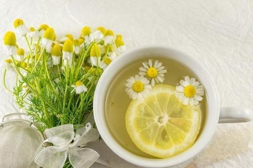 痛风病人喝菊花茶好不好？这篇文章给你答案