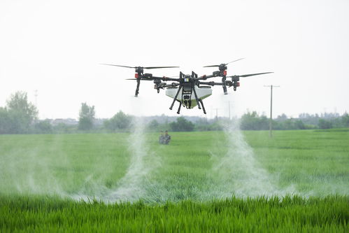 无人机喷洒农药的挑战与机遇