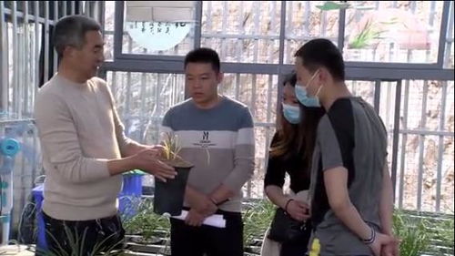 兰香小镇：大河镇的特色转型之路