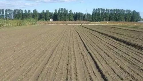 新手必堪选购避坑指南