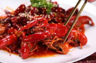 虾集体绝食怎么办？老司机教你娱乐绝食难题！