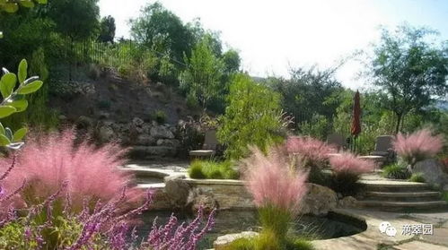 探寻庭院中的绿色奇迹：观赏草的叶色奇观