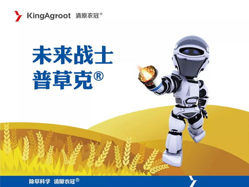 整治行动的意义：规范市场， 保障健康