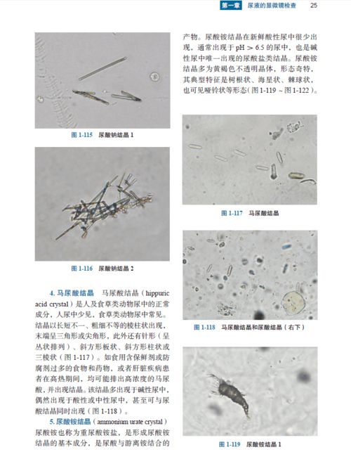 地学信息图谱：如何从信息图获取信息
