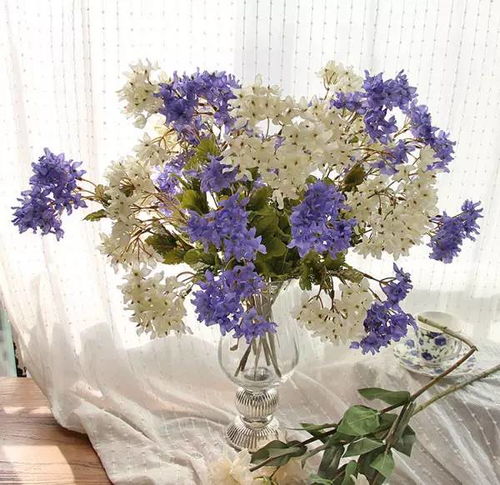 花卉在人类生活中的意义和作用