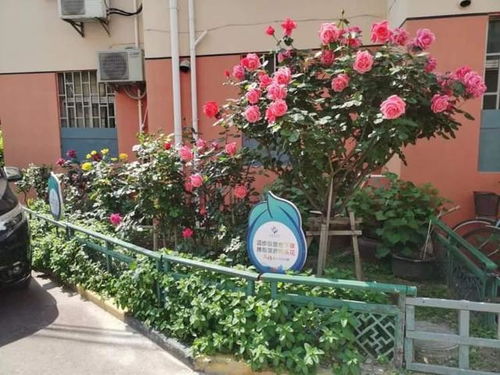 染后 我们要考虑的是维护的问题