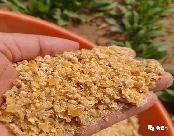 豆粕质量鉴定方法中，如何判断近期豆粕现货库存的最新消息？