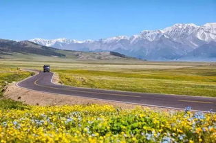 沙尘暴突袭怎么救急？