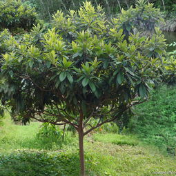 贴合秘诀，拼乐高般的技巧