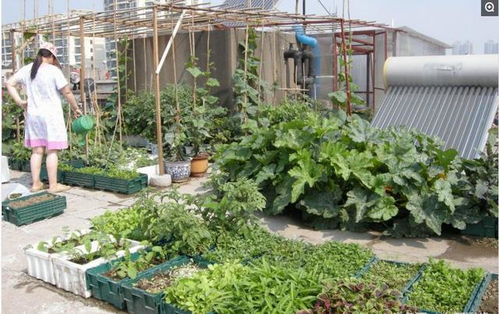 种地的信仰，奋斗的力量