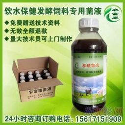 2. 保持适宜的温度和pH值