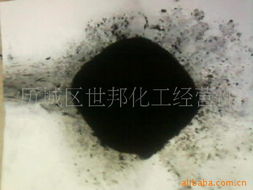 黑毛皮蠹的“美食”清单