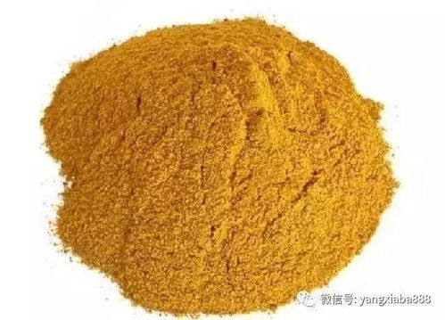 通威饲料最新资讯中，这款新型水产饲料的蛋白质含量和消化率如何？