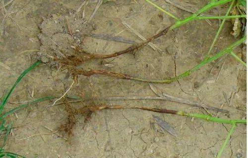 保护环境， 从我Zuo起