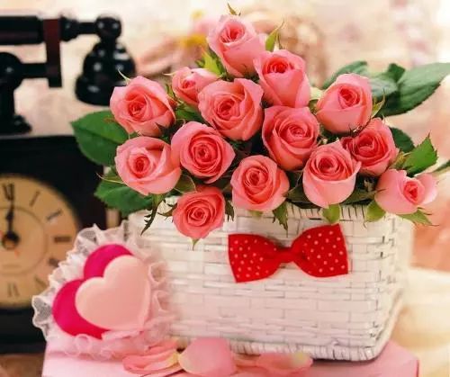 水养玫瑰， 优点多多