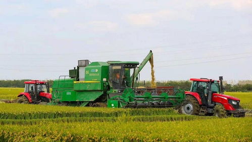 安徽颍上200万购置秸秆粉碎器，助力花卉产业绿色发展！