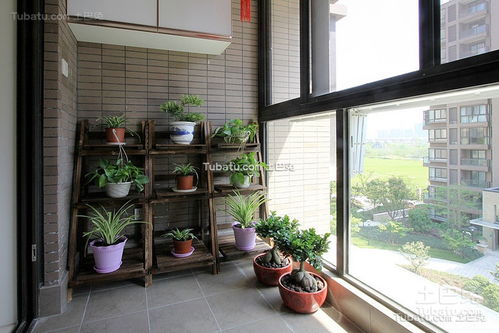 冬天阳台植物保暖，如何有效提升室内温度