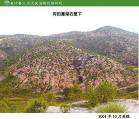 缓坡区与陡坡区：草的不同使命