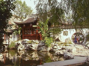 松树院子风水佳，种松增福！