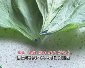 蓝矾到底平安吗？