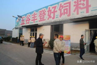 临沂市饲料协会和粮食局饲料厂地址在哪里？