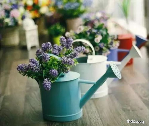 新鲜花浇水，如何避免水多烂根