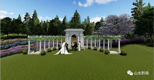 月季种类及应用