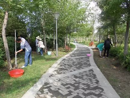 修剪：整形美容， 促进生长