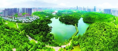 乌当区的绿意盎然