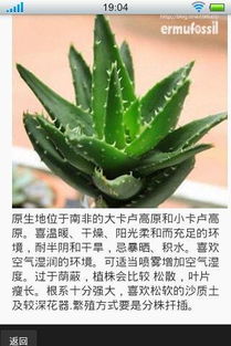 移植后的注意事项